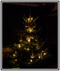 Xmas Tree 2018 Xmas Tree 2018