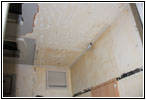 More Ceiling Removed More Ceiling Removed