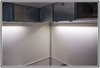Shelter bed lighting Shelter bed lighting