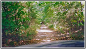 Backroad, IL Backroad, IL