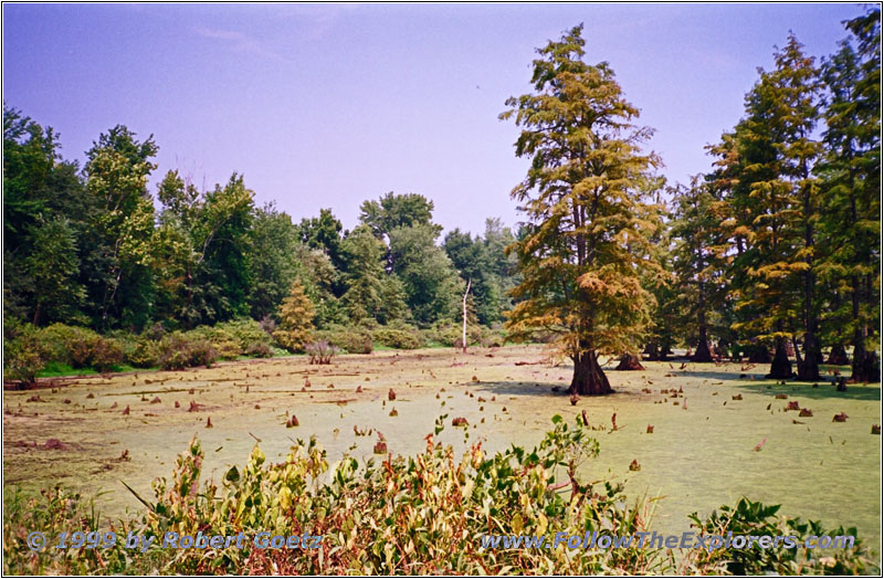 Ballard WMA Ballard WMA