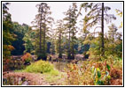 Ballard WMA Ballard WMA