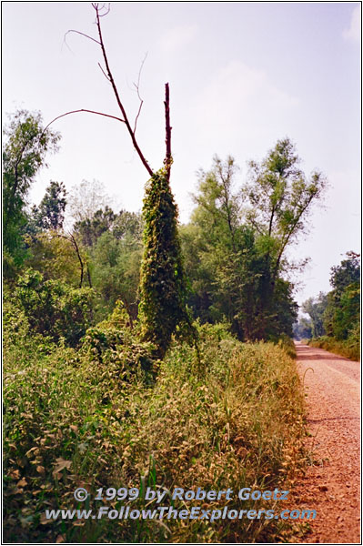 Sallie Circle Rd, KY Sallie Circle Rd, KY