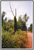 Sallie Circle Rd, KY Sallie Circle Rd, KY