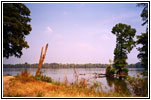 Swan Pond WMA Swan Pond WMA