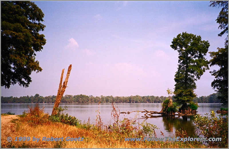 Swan Pond WMA Swan Pond WMA