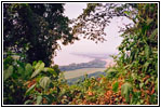 Fountain Bluff, Illinois Fountain Bluff, Illinois