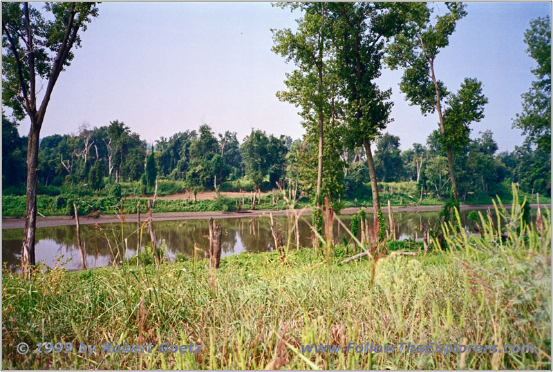 Levee Rd, Wet Land Mississippi River, IL