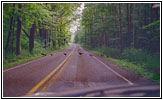 Turkeys on the backroad Turkeys on the backroad