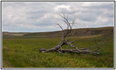 CR S6, South Dakota CR S6, South Dakota