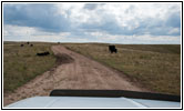 Backroad, South Dakota Backroad, South Dakota