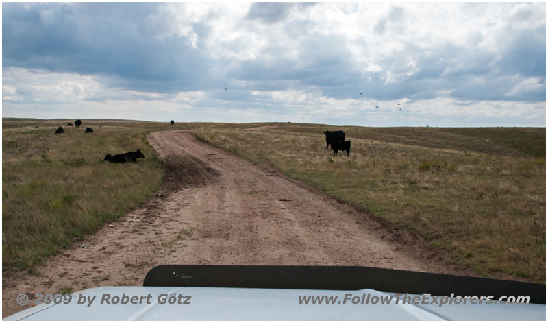 Backroad, South Dakota Backroad, South Dakota