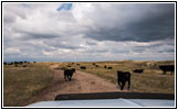 Backroad, South Dakota Backroad, South Dakota