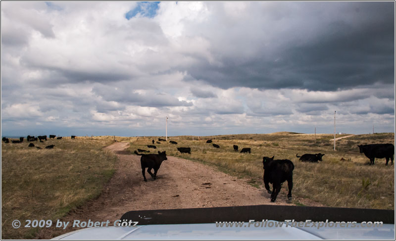 Backroad, South Dakota Backroad, South Dakota