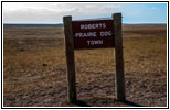 Roberts Prairie Dog Town, Badlands National Park, South Dakota Roberts Prairie Dog Town, Badlands National Park, South Dakota