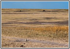 Roberts Prairie Dog Town, Badlands National Park, South Dakota Roberts Prairie Dog Town, Badlands National Park, South Dakota
