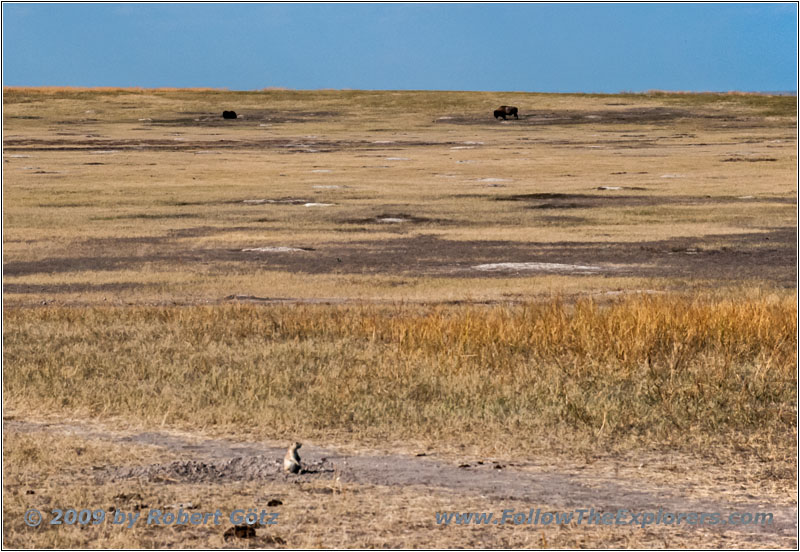 Roberts Prairie Dog Town, Badlands National Park, South Dakota Roberts Prairie Dog Town, Badlands National Park, South Dakota