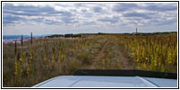 Sheep Mountain Rd, South Dakota Sheep Mountain Rd, South Dakota