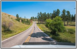 Esel, Highway 16A/Iron Mountain Rd, Custer State Park, South Dakota Esel, Highway 16A/Iron Mountain Rd, Custer State Park, South Dakota