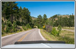 Highway 16A/Iron Mountain Rd, Custer State Park, South Dakota Highway 16A/Iron Mountain Rd, Custer State Park, South Dakota