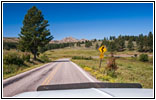 Highway 16A/Iron Mountain Rd, Custer State Park, South Dakota Highway 16A/Iron Mountain Rd, Custer State Park, South Dakota