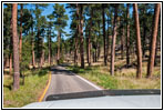 Highway 16A/Iron Mountain Rd, South Dakota Highway 16A/Iron Mountain Rd, South Dakota