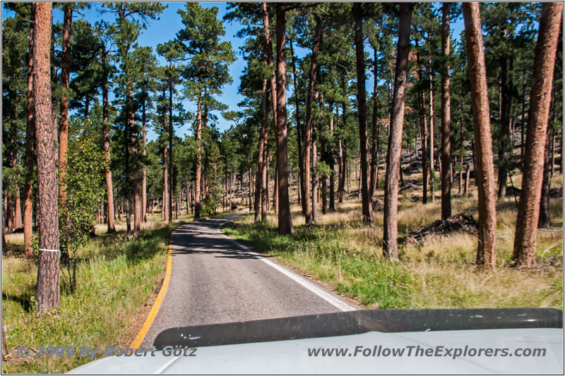 Highway 16A/Iron Mountain Rd, South Dakota Highway 16A/Iron Mountain Rd, South Dakota