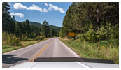 Highway 87/The Needles Hwy, South Dakota Highway 87/The Needles Hwy, South Dakota