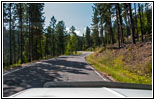 Highway 87/The Needles Hwy, South Dakota Highway 87/The Needles Hwy, South Dakota