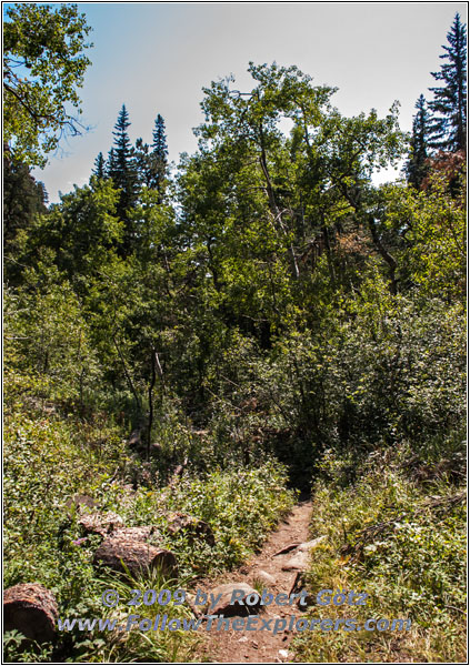 Cathedral Spires Trail, Custer State Park, South Dakota Cathedral Spires Trail, Custer State Park, South Dakota
