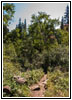 Cathedral Spires Trail, Custer State Park, South Dakota Cathedral Spires Trail, Custer State Park, South Dakota