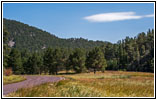 Highway 87/The Needles Hwy, South Dakota Highway 87/The Needles Hwy, South Dakota