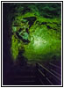 Jewel Cave, South Dakota Jewel Cave, South Dakota