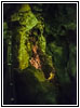 Jewel Cave, South Dakota Jewel Cave, South Dakota