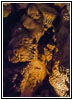 Jewel Cave, South Dakota Jewel Cave, South Dakota