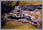 Jewel Cave, South Dakota Jewel Cave, South Dakota