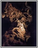 Jewel Cave, South Dakota Jewel Cave, South Dakota