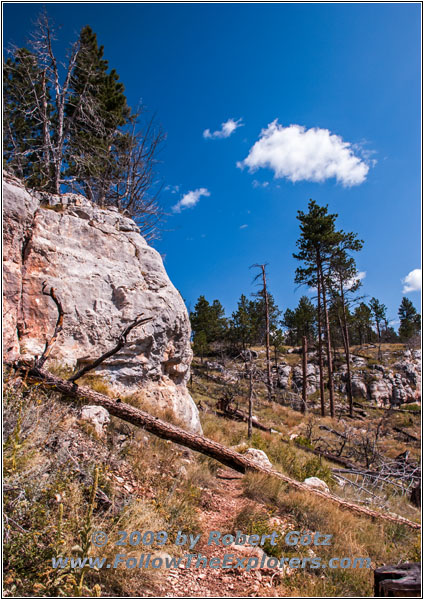 Hell Canyon Trail, SD Hell Canyon Trail, SD