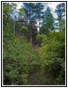 Hell Canyon Trail, SD Hell Canyon Trail, SD
