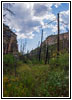 Hell Canyon Trail, SD Hell Canyon Trail, SD