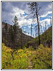 Hell Canyon Trail, SD Hell Canyon Trail, SD