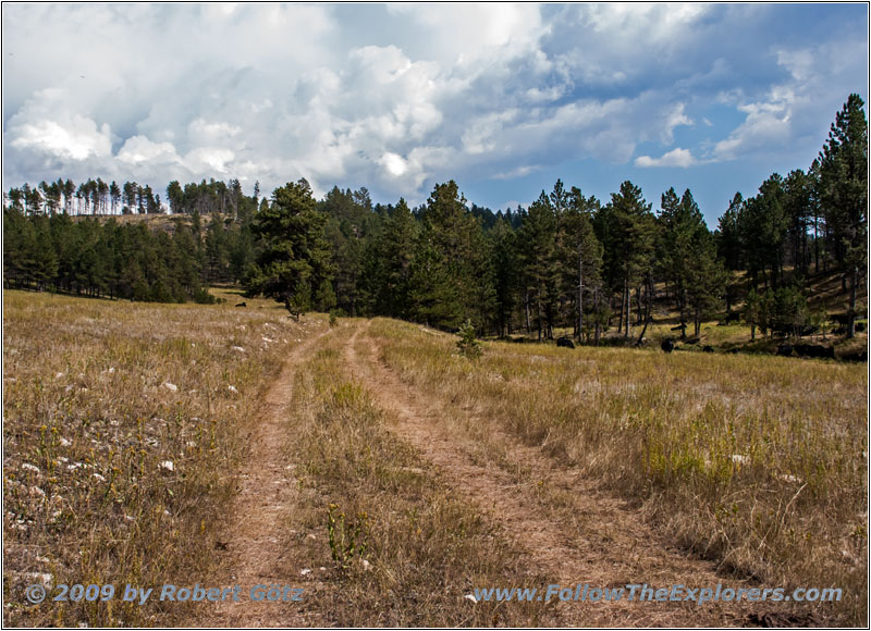 FR282 1C, Hell Canyon, SD FR282 1C, Hell Canyon, SD