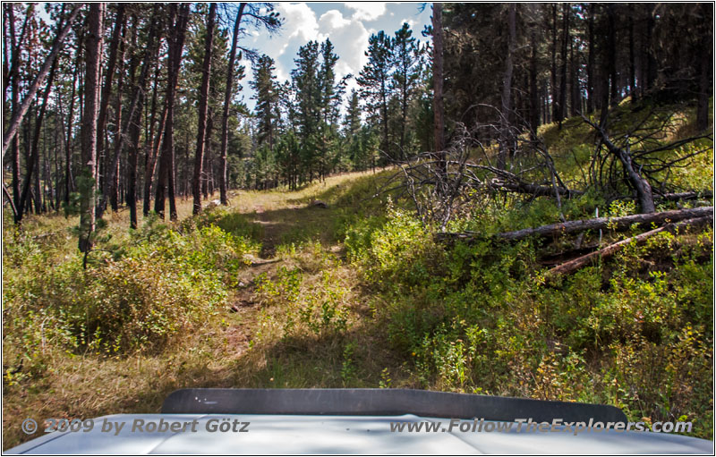 FR282 1C, Hell Canyon, SD FR282 1C, Hell Canyon, SD