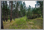 FR282 1C, Hell Canyon, SD FR282 1C, Hell Canyon, SD