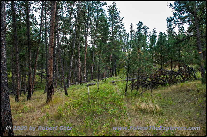 FR282 1C, Hell Canyon, SD FR282 1C, Hell Canyon, SD