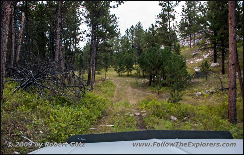 FR282 1C, Hell Canyon, SD FR282 1C, Hell Canyon, SD