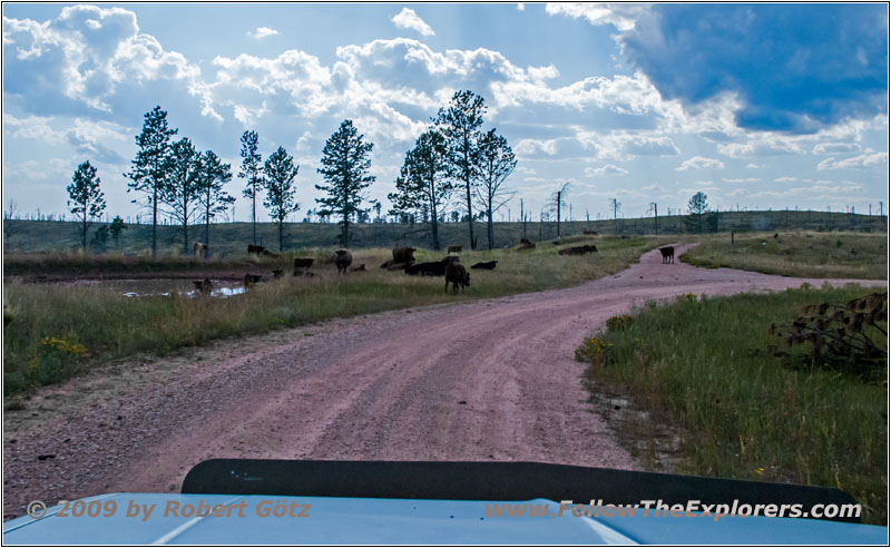 FR283/Antelope Ridge Rd, SD FR283/Antelope Ridge Rd, SD