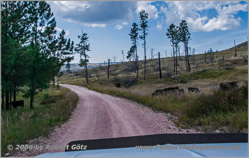 FR283/Antelope Ridge Rd, SD FR283/Antelope Ridge Rd, SD