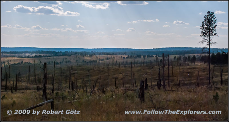FR284/Custer Limestone Rd, SD FR284/Custer Limestone Rd, SD