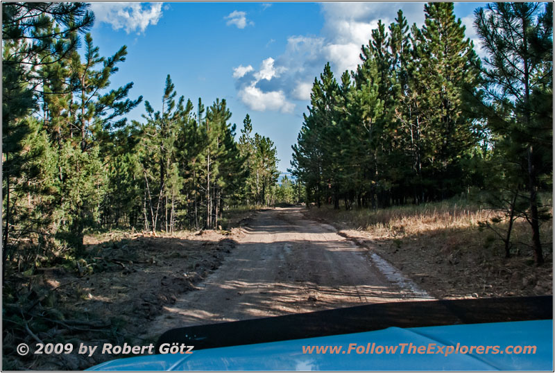 FR117 4A, SD FR117 4A, SD
